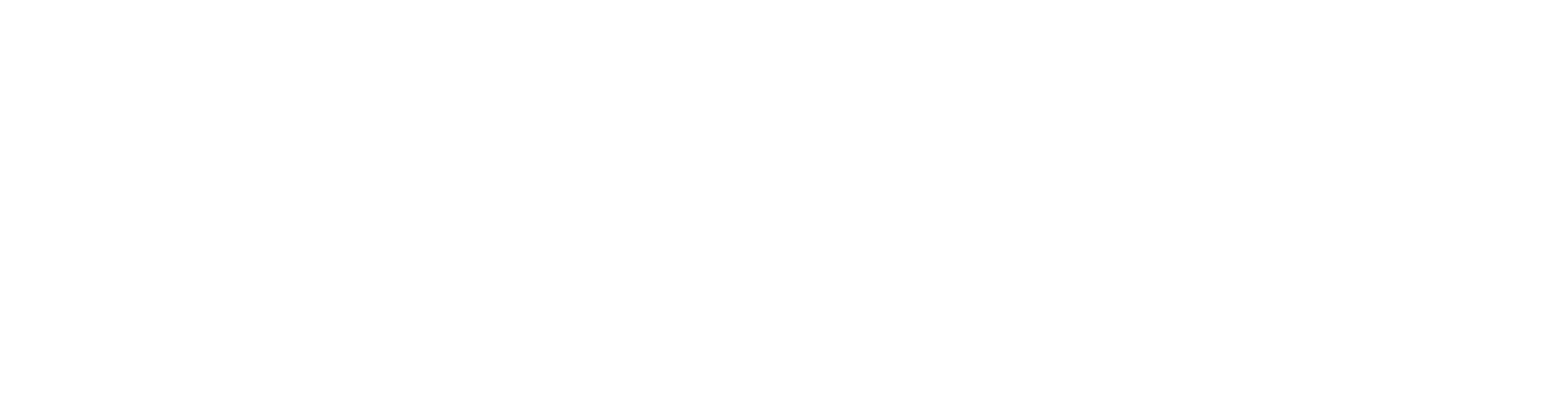 Healthy Brain Foundation